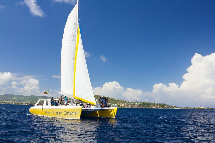 St. Kitts Full-Day Catamaran to Nevis