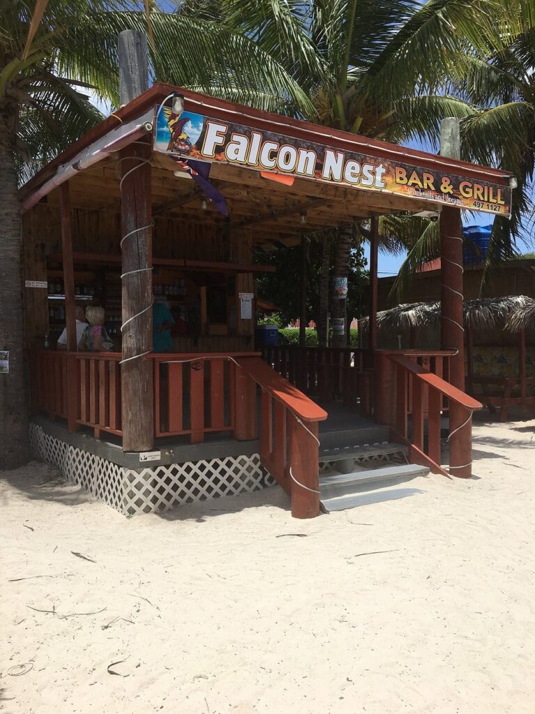 Falcon Nest Bar & Grill
