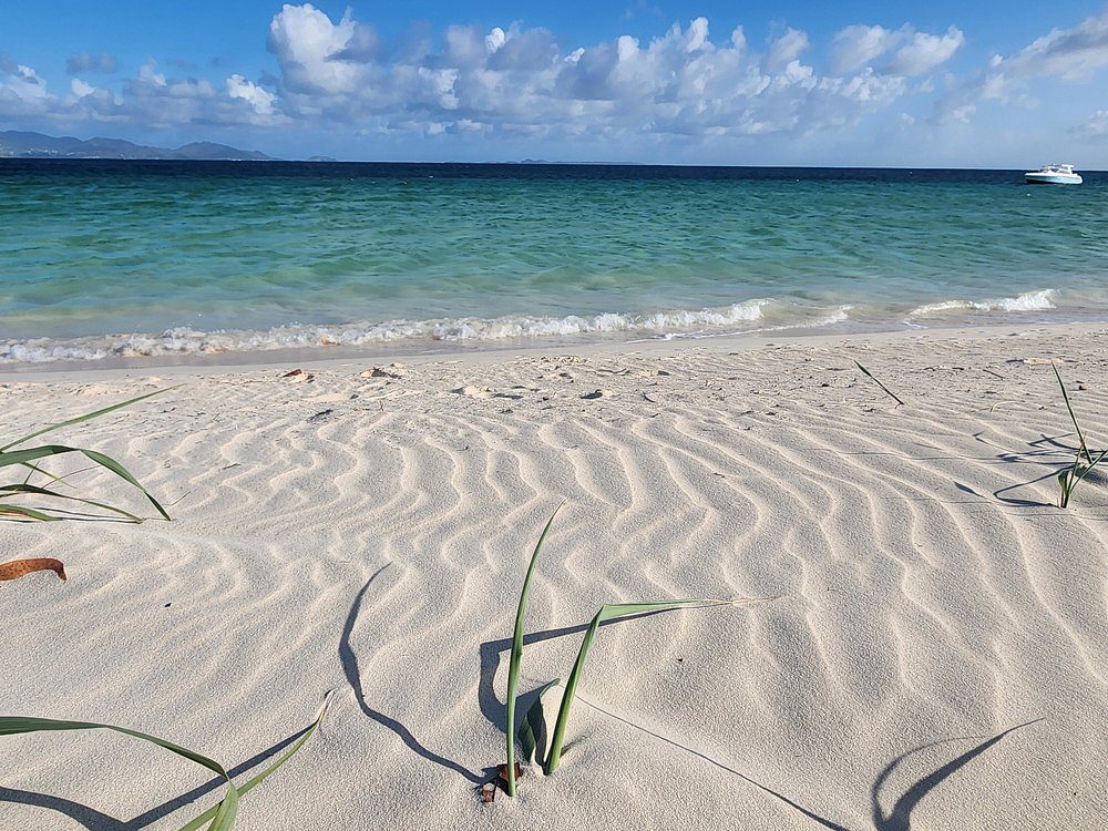 Rendezvous Bay Beach
