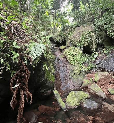 Waterfall Hike Nevis