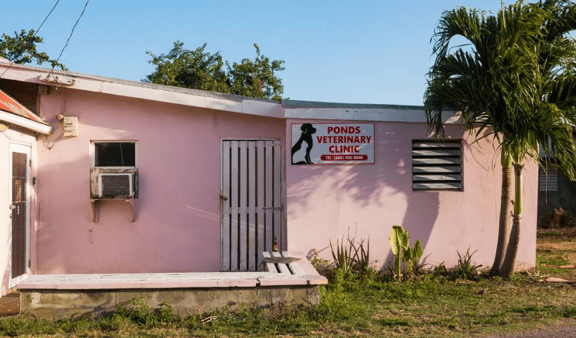 Ponds Veterinary Clinic