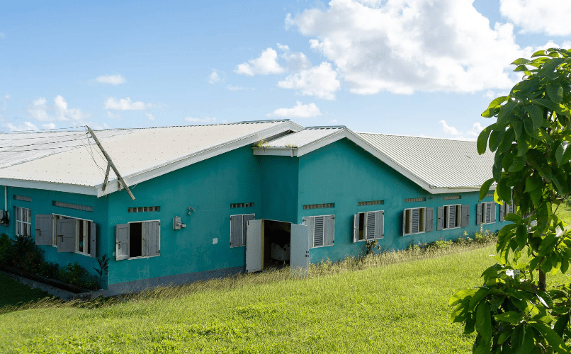 Estridge Primary School