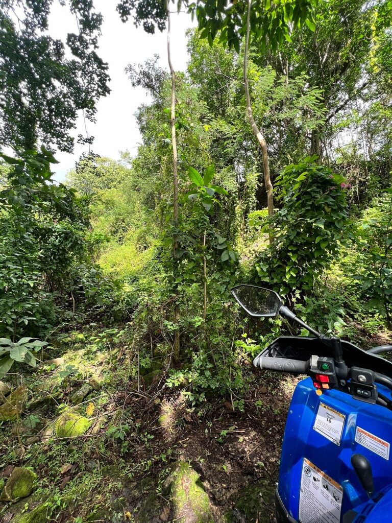 Queen City ATV Adventures