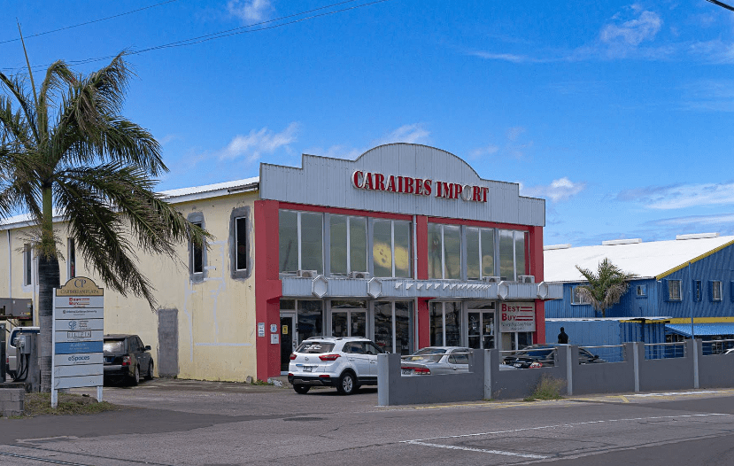 Caribbean Security Services Ltd.