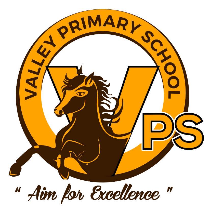 Valley Primary School