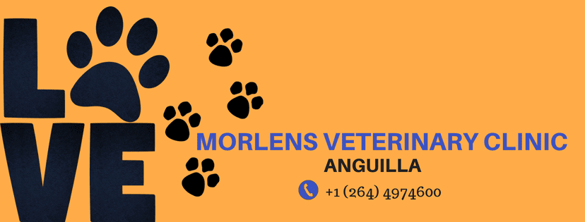 Morlens Veterinary Clinic