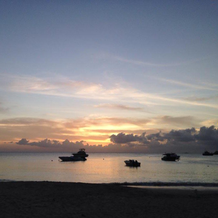 Island Dream Properties