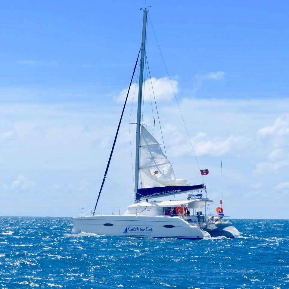 Catch The Cat Antigua