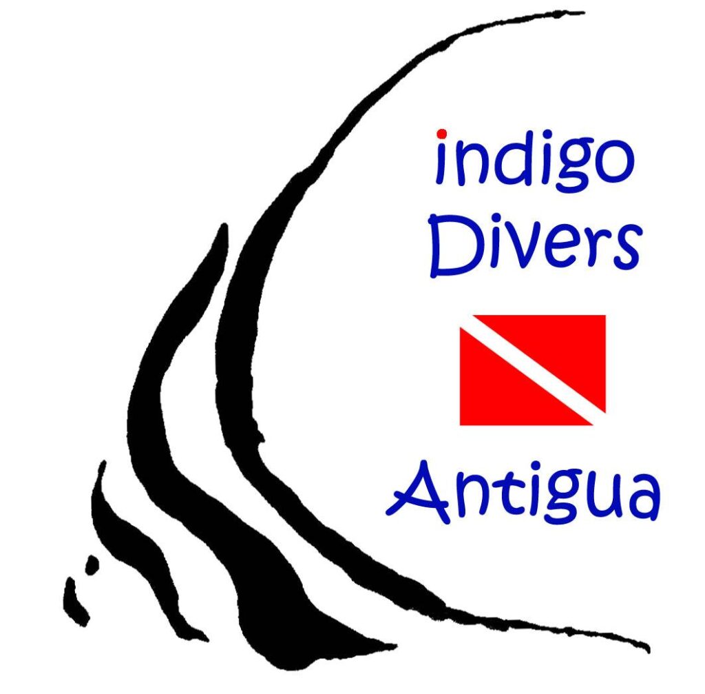 Indigo Divers