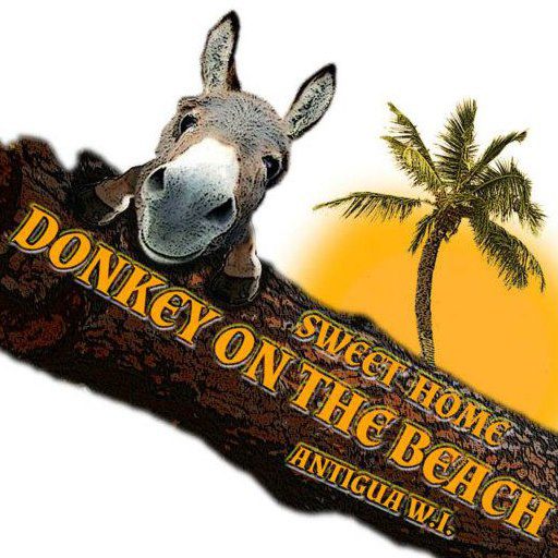 Donkey on The Beach