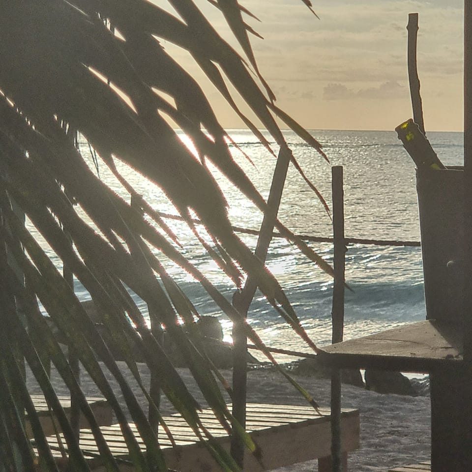 Treehouse Beach Club