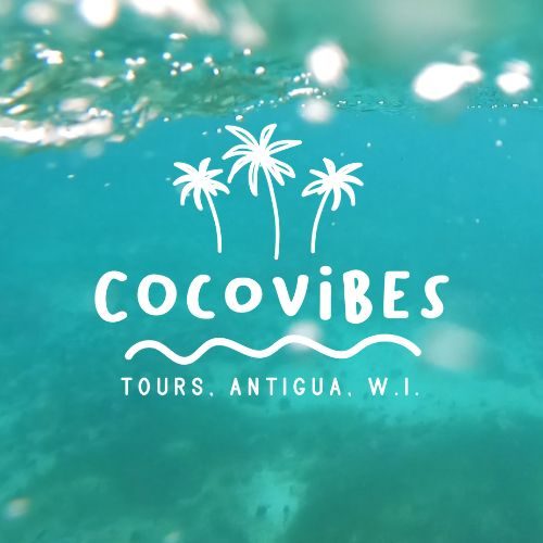 CocoVibes Tours