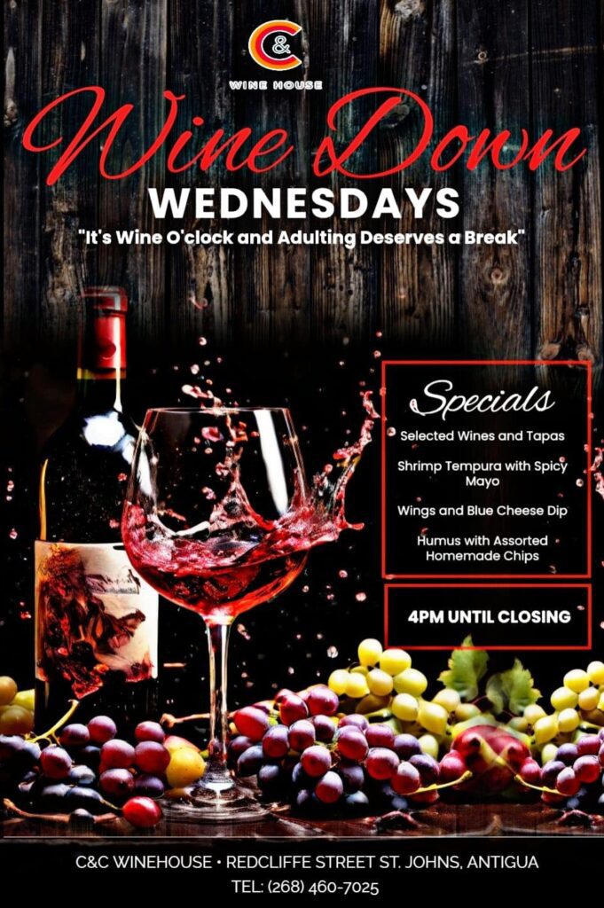 513893574_1288933756569411_8808732657835796615_n