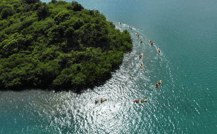 Antigua Nature Tours