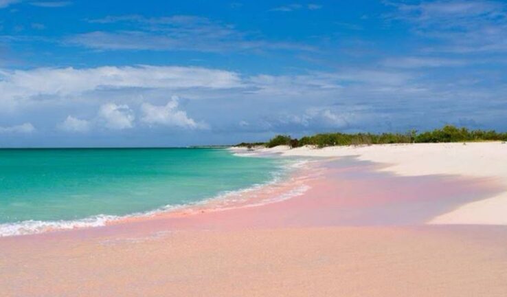 Pink Sand Beach