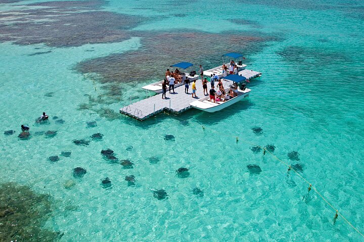 Stingray City Antigua