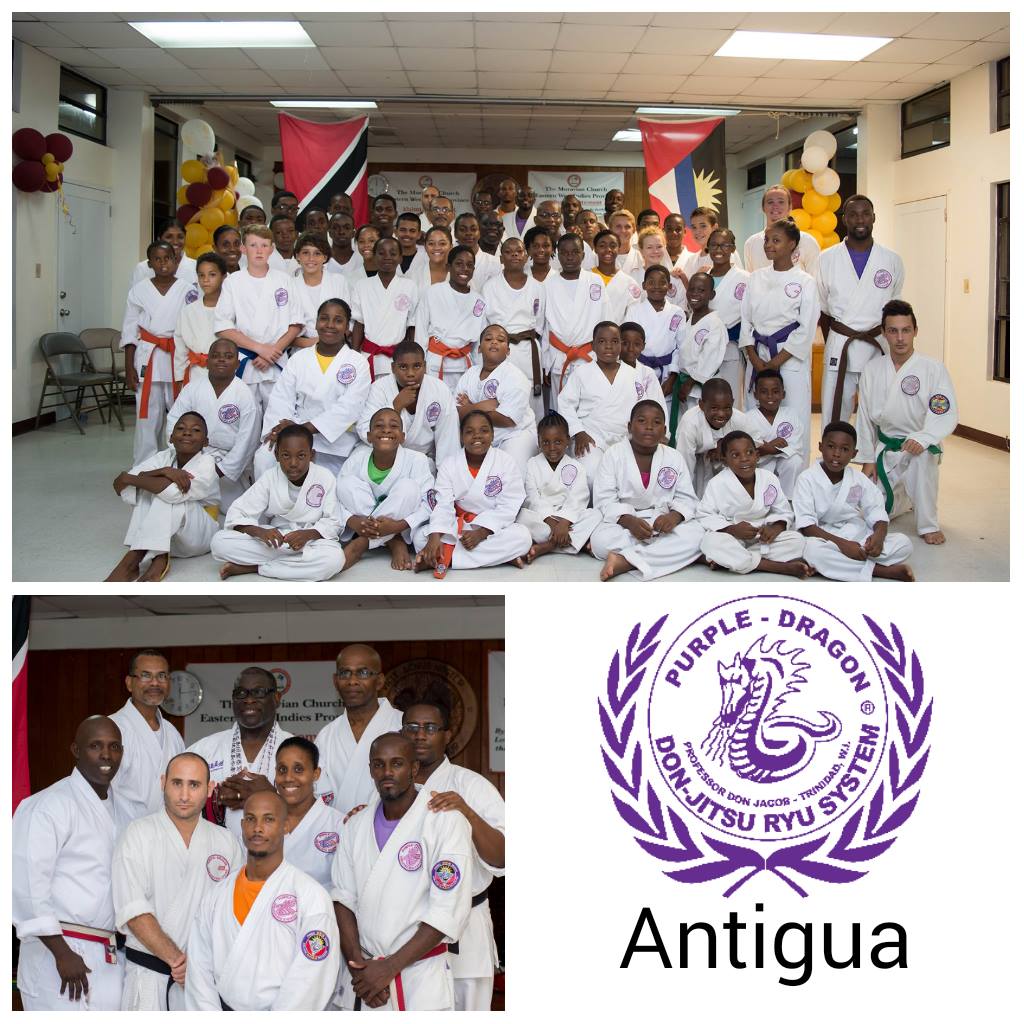 Purple Dragon Antigua