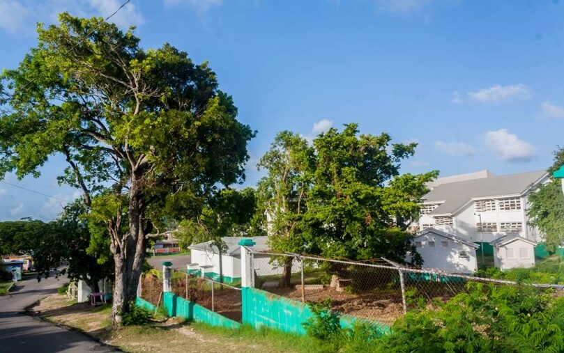 Antigua Grammar School AGS