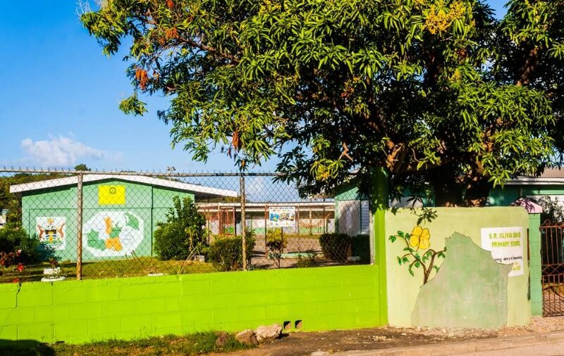 SR Olivia David Primary School