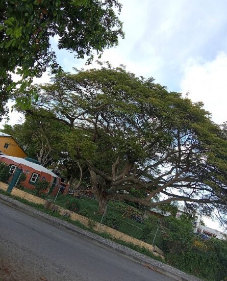 Simon Bolivar Preschool