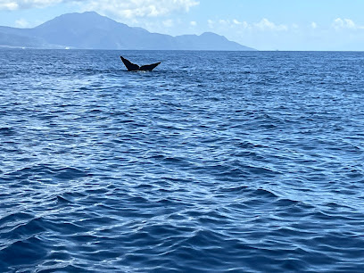 Waitukubuli Adventure Tour Co.